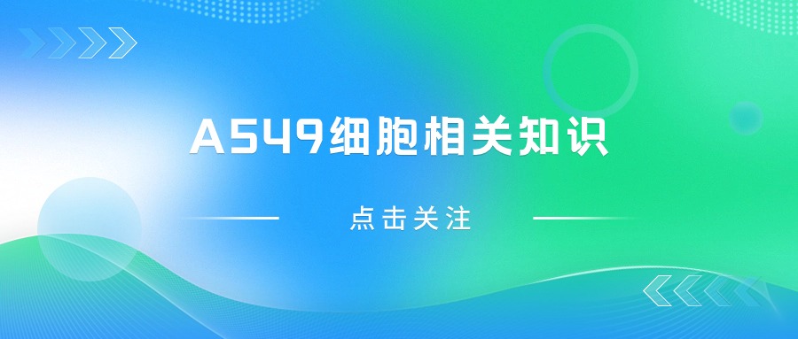 關(guān)于A549細胞，您不得不知道的一些操作